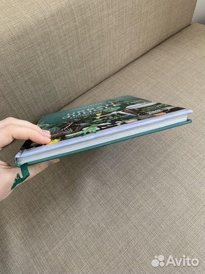 Urban Jungle. Издательсво миф