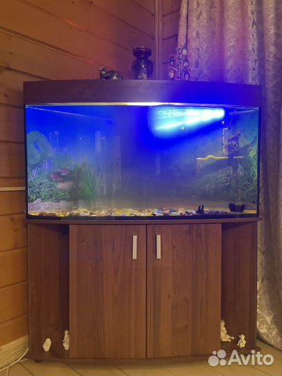 Аквариум с тумбой 170 литров