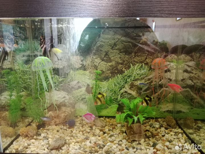 Аквариум