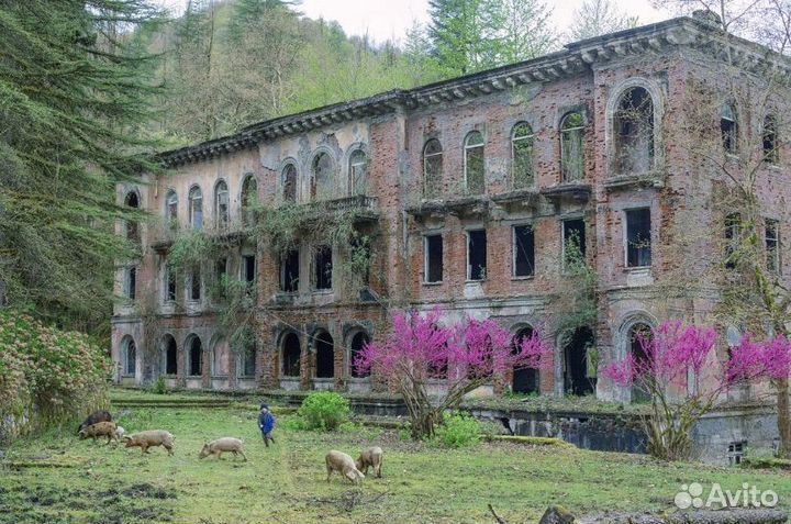 Города-призраки, джип-тур