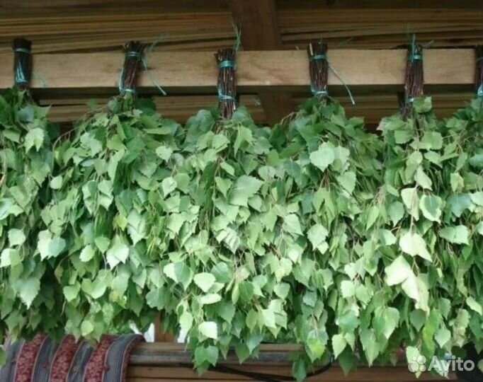 Веники для бани