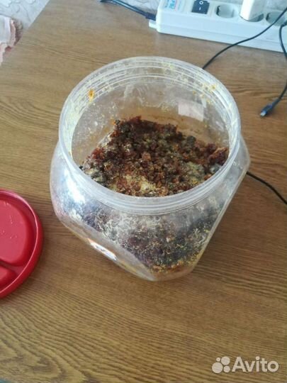 Канифоль сосновая