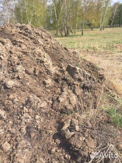 Навоз коровий перегной