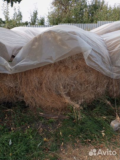 Сено в рулонах