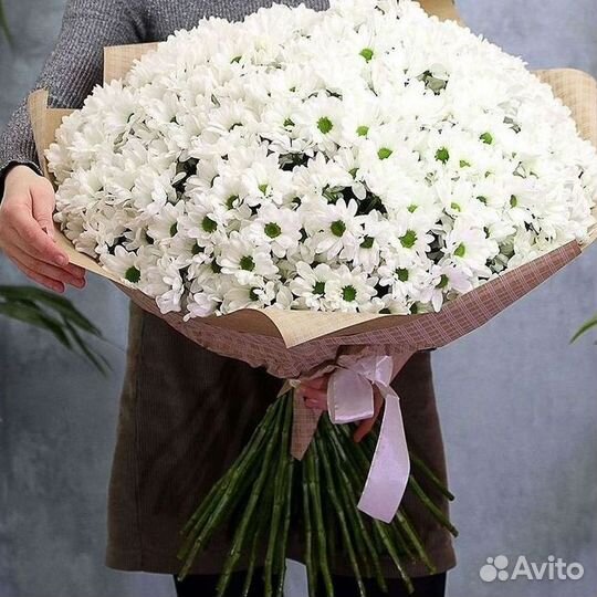 Хризантема Букет хризантем Доставка