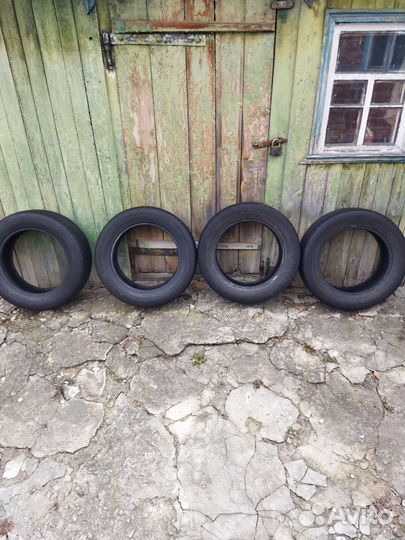 Nokian Tyres Nordman SX 205/60 R16