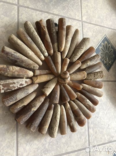 Пано на стену