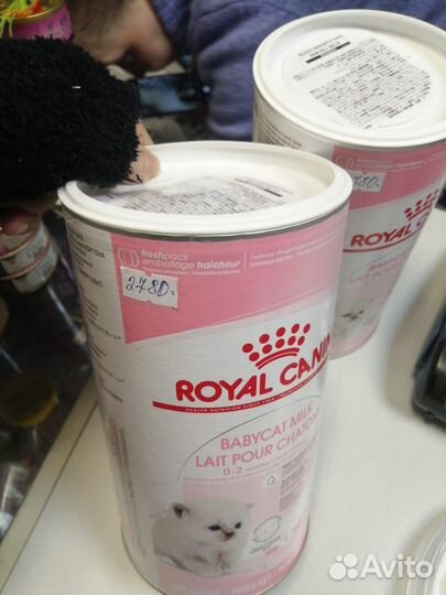 Royal Canin Babycat Milk молоко для котят