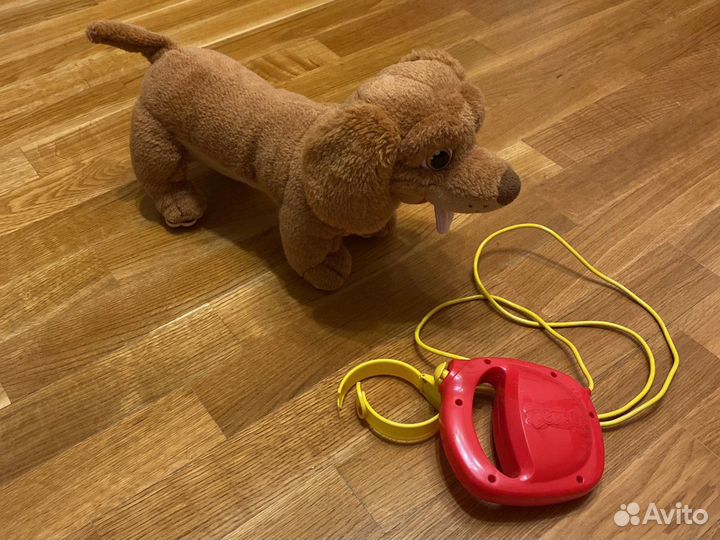 Интерактивная собака