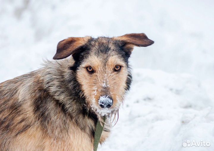 Классный Лайк