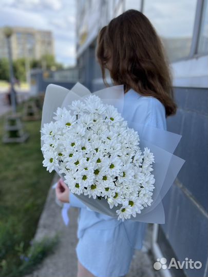 Хризантема ромашки цветы букеты доставка