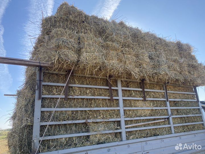 Сено солома рисовая доставкой
