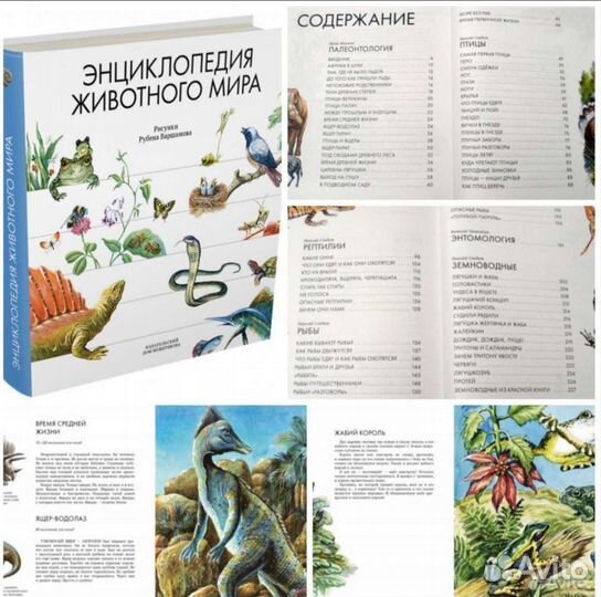 Подарочные детские книги, много