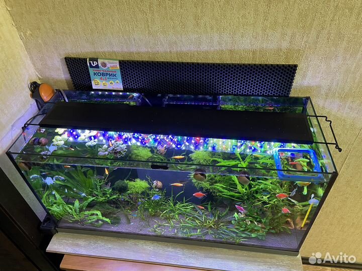 Запущенный аквариум aquaatlantis 100 литров