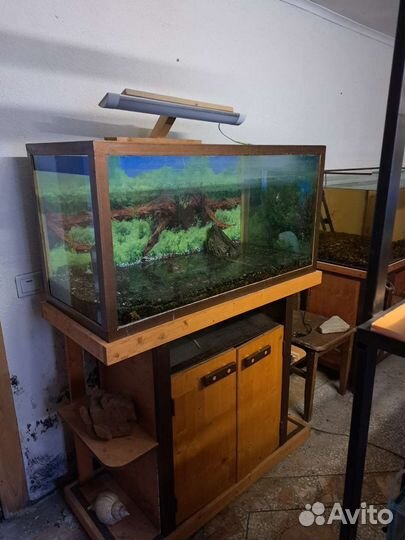 Аквариум