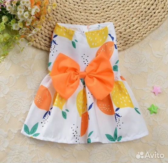 Летние платья для собак маленьких пород