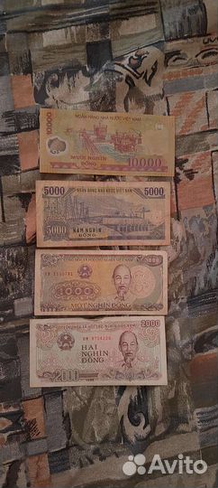 Купюры донг
