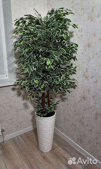 Искусственное дерево, фикус