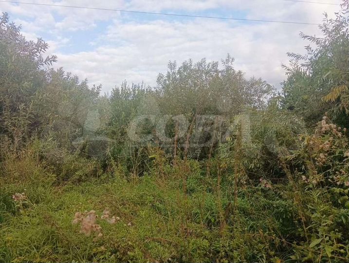 Участок 6,9 сот. (СНТ, ДНП)