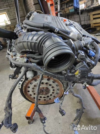 Двигатель Хонда Аккорд 2,0 K20A