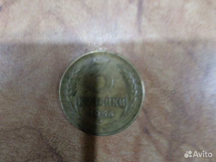 Коллекция