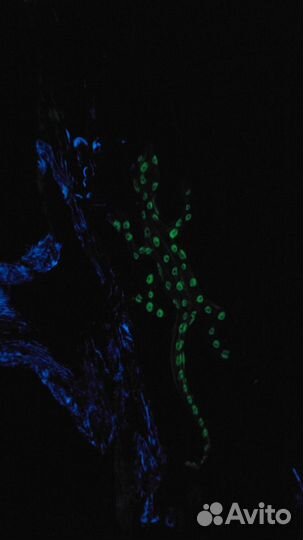 Часы-панно резные, светящиеся. Ручная работа