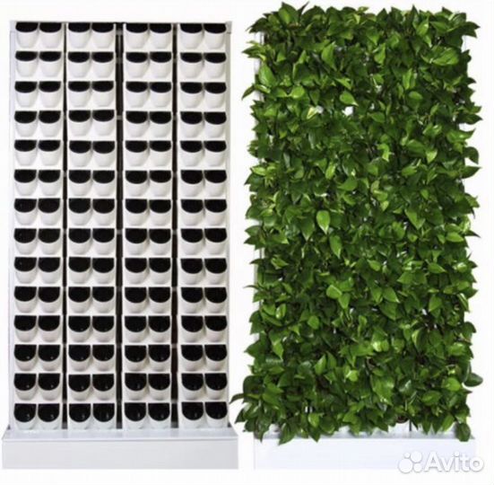 Гидропонная установка