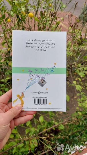 Книга Маленький принц на арабском языке