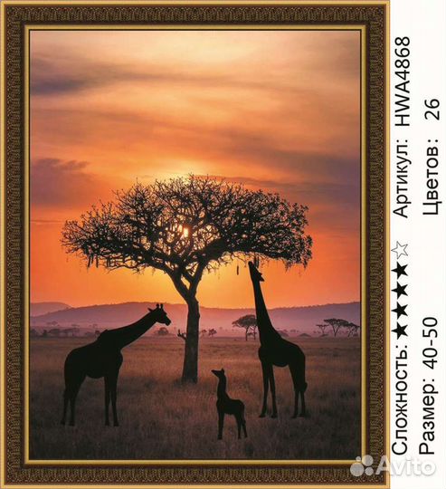 Алмазная мозайка, Сафари