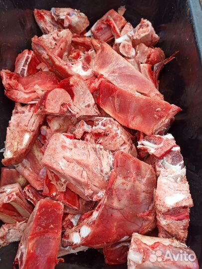 Мясо говядина для собак