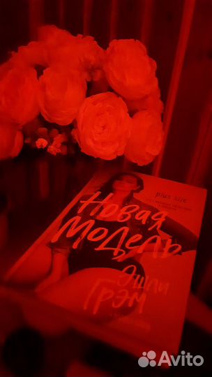 Эшли Грэм. Новая модель. Автобиография plus size