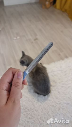 Пилка для когтей