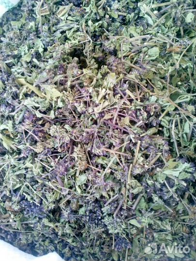 Травы,сборы