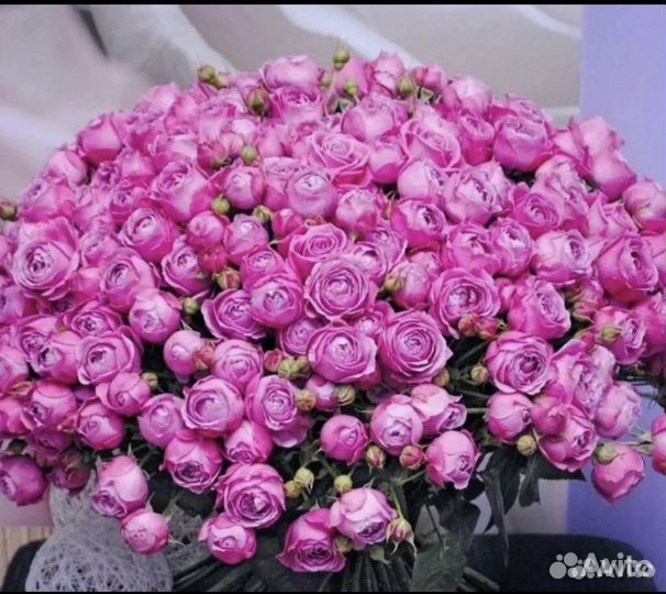 Букеты роз 101 51 25 экрадорские розы букет