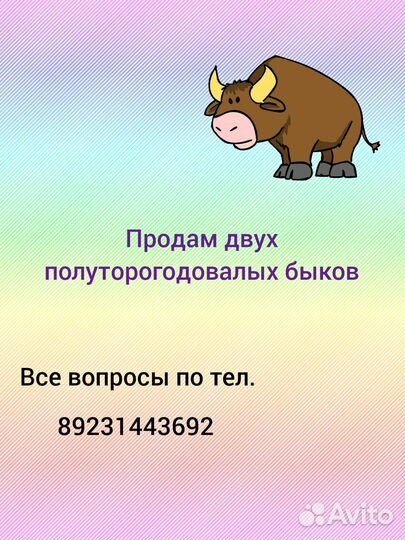 Домашние животные
