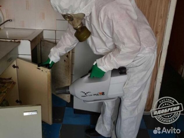 Уничтожение клопов тараканов дезинфекция плесени