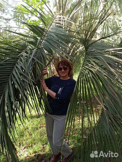 Услуги массажа на дому