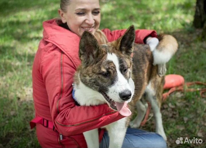Ерофей в добрые руки
