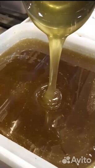 Эспарцетовый мед оптом