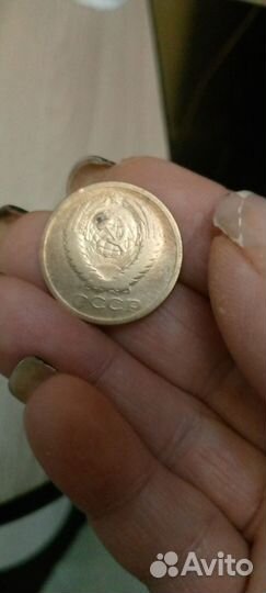 Монета СССР 5 копеек 1961 года