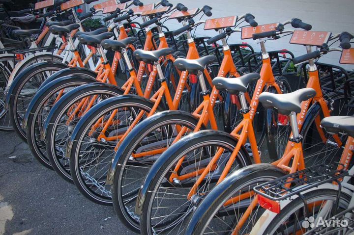 Готовый Бизнес на прокате велосипедов