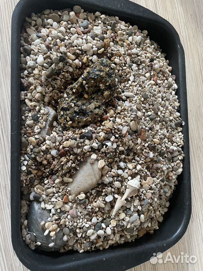 Аквариум 50 л