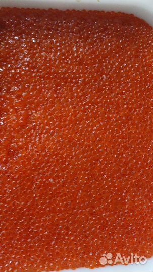 Красная икра