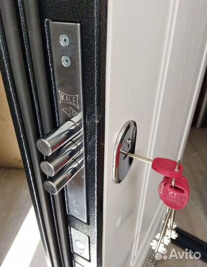 Входные стальные металлические двери