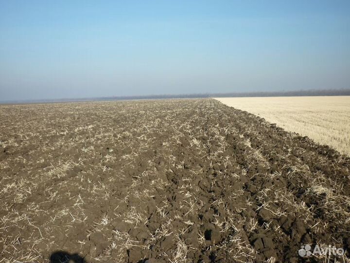 Глубокорыхлитель Омский Экспериментальный Завод ПРП-5.6 Титан, 2023