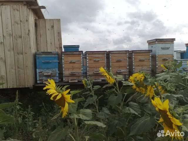 Площадка для перевозки пчëл, с будкой