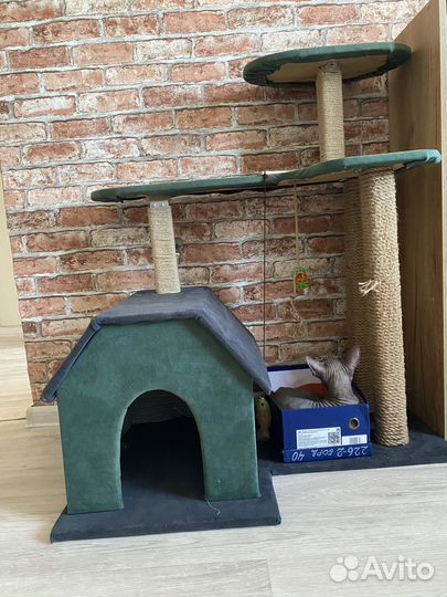 Кошачий домик с когтеточкой