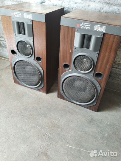 Акустическая система Электроника 25ас033