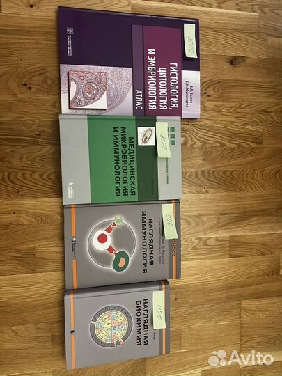 Атлас гистология быков