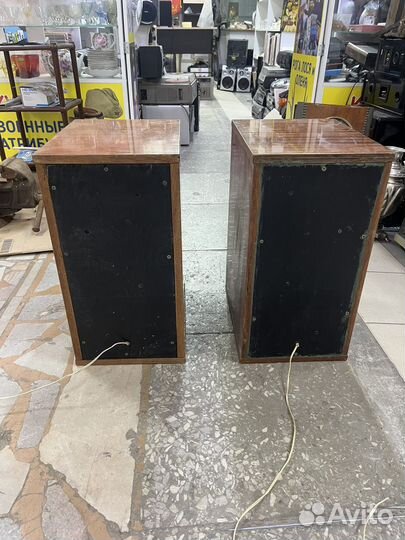 Мощная Акустическая Система (ч)